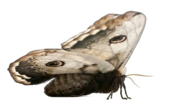 Which UK historical landmarks offer the most engaging night-time tours?